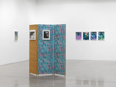 Lisa Oppenheim, Ourselves and the expression of ourselves, exhibition view. Courtesy of Tanya Bonakdar Gallery