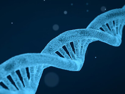 ADN. En vérité, vos gènes jamais ne cessent leur travail et donc jamais ne s’allument et surtout ne s’éteignent.