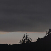 Lillian Bayley Hoover, Untitled (Herring run II) (detail), 2020. Courtesy of Goya Contemporary