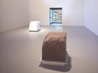 Janine Antoni, “Gnaw”