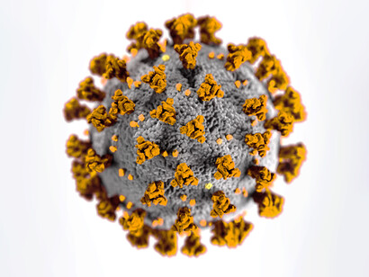 COVID is winding down to a final endemic status, although viral variants push back