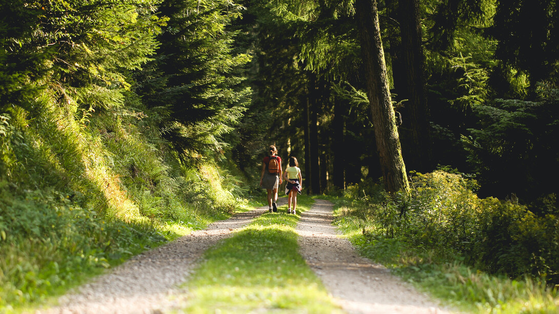 Dos personas recorren una senda hacia un bosque montañoso en los Apeninos.