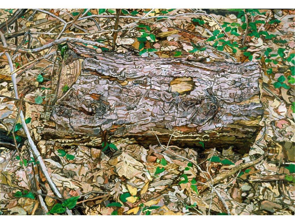 Ellen Altfest, Log, 2001, Oil on canvas, 61 x 94.4 cm, Image courtesy White Cube © Ellen Altfest / White Cube