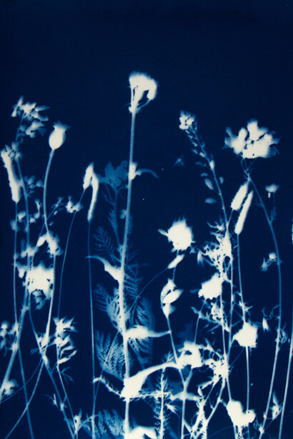 Pipo Nguyen-duy, Untitled L17. Courtesy of ClampArt