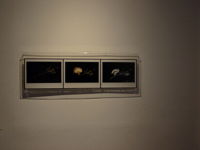 Paulina Humeres. Courtesy of Espacio San Isidro /Universidad Catolica Silva Henriquez