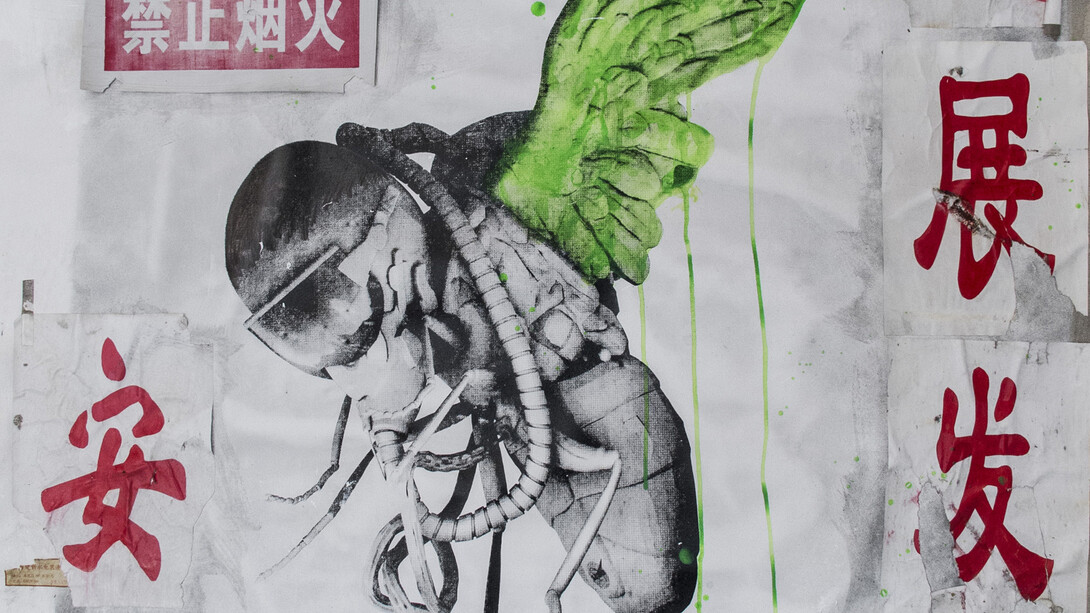 Toutes les images: Courtesy Magda Danysz gallery
