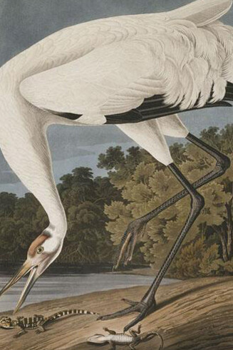Works on Paper. Courtesy of Amon Carter Museum of American Art
