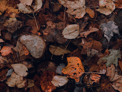 I colori dell'autunno