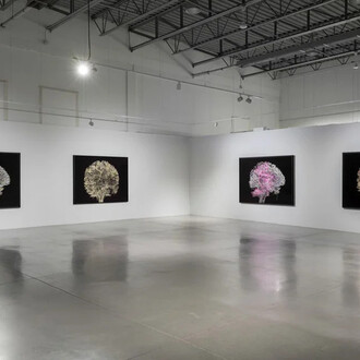 Geneviève Cadieux, Wild is the wind, exhibition view. Courtesy of Blouin Division