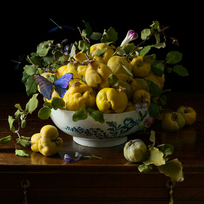 Paulette Tavormina, Quince and the Ladybugs, 2021. Archival pigment print. Courtesy of Winston Wächter Fine Art, New York