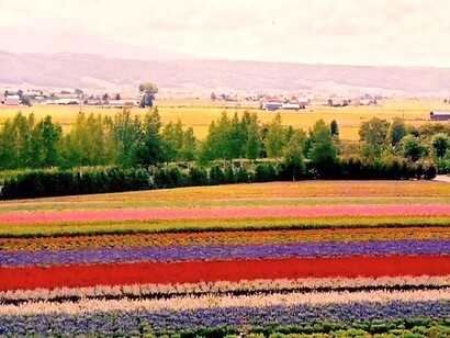 Hokkaido, photo by Alma Reyes