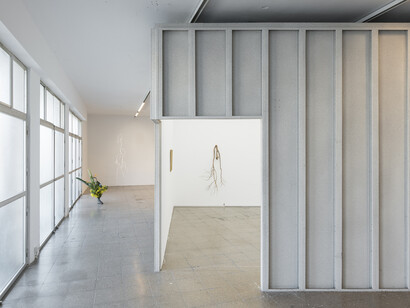 Cortesía Nogueras Blanchard, Barcelona/Madrid Fotografía Roberto Ruiz