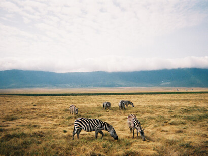 Tanzanie. L'Afrique est attirée par cet immense amour qui ne s'éteint pas et que nous ne voulons pas qu'il passe