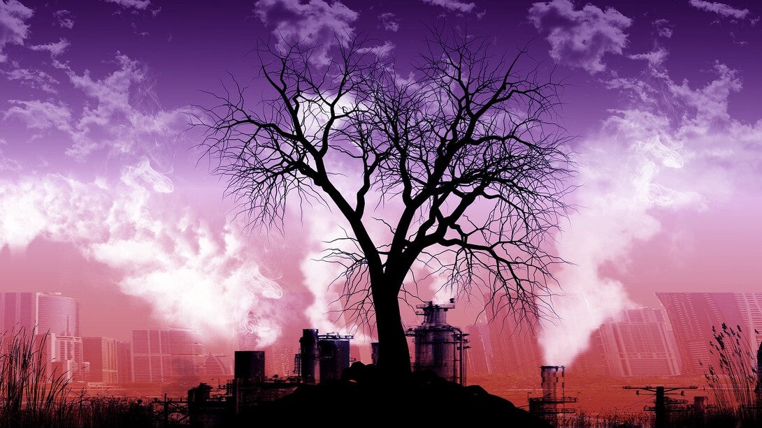 Ceasefire in our suicidal war against nature