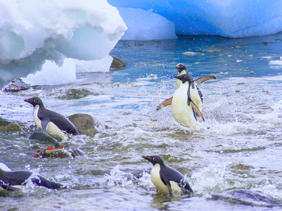 Cambio climático. Estos cambios en el medioambiente pueden ser naturales, pero desde el siglo XIX, las actividades humanas han sido el principal motor del cambio climático