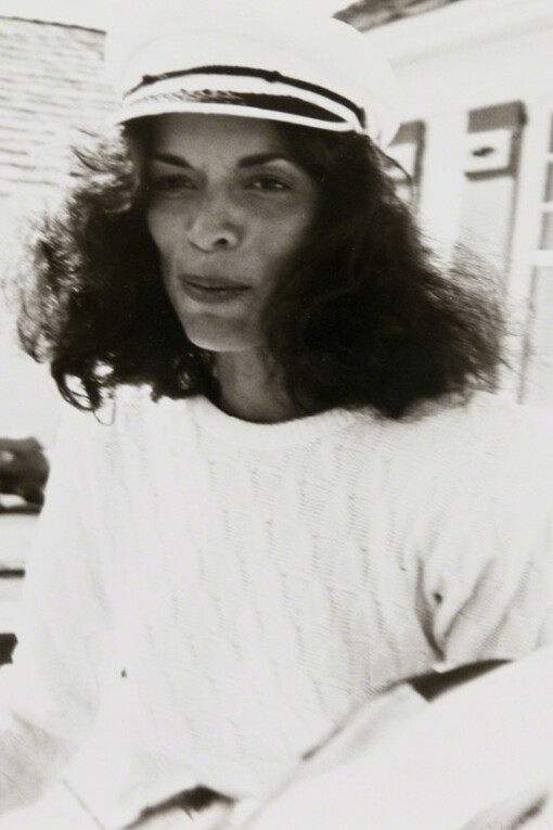 Famous for Fifteen Minutes. Courtesy of Hedges Projects