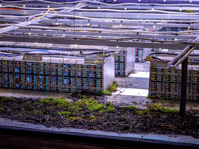 Soft Turns, Cold data, exhibition view. Courtesy of Gallery 44