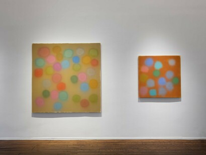 Doug Ohlson, Private values, exhibition view. Courtesy of Louis Stern Fine Arts