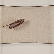 Räume besetzen. Courtesy of Kunstmuseum Winterthur