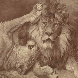 Before and After. Courtesy of Museum für Fotografie