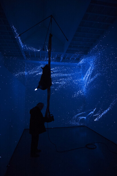 Gilberto Zorio - Marrano con treccia, visione al buio, 2016, Courtesy Galleria de' Foscherari