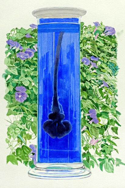 Bocal/cerveau 4, 57 x 38 cm, aquarelle sur papier Langton prestige 300g, 2019 