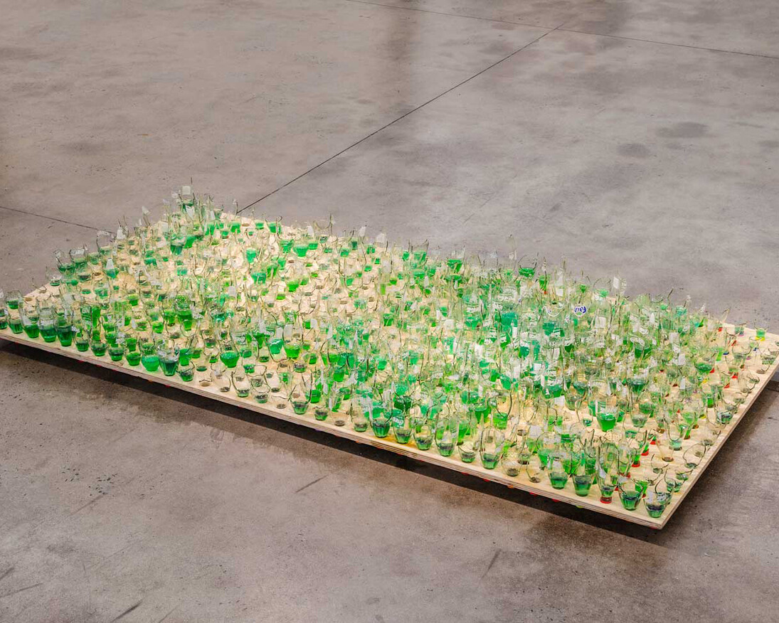 Lawn 1, 2016 Wood, broken bottles, and petrol 242 x122 x28 cm