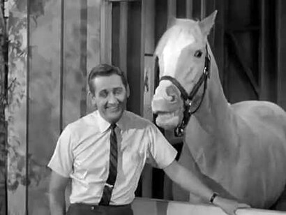 Mr. Ed and the horse Wilbur