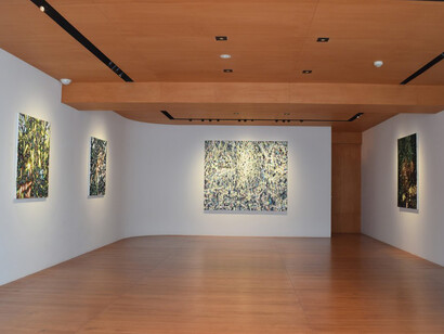 Taishi Hatayama. Courtesy of Sezon Art Gallery