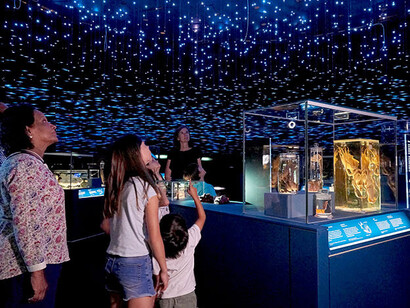 Life in the dark. Courtesy of Natural History Museum