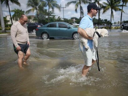 Transeúntes paseando por una calle con marea alta en Miami