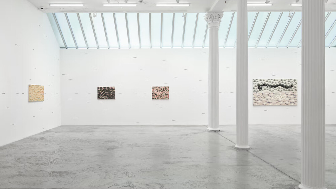 Tran Luong, When sky merges with Earth, exhibition view. Courtesy of Bortolami