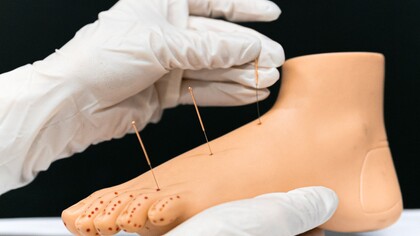 Uma pessoa segurando um modelo de acupuntura nos pés