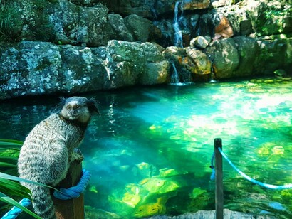 Cachoeira Loquinhas, na Chapada dos Veadeiros, Brasil. O Cerrado é essencial para a agricultura brasileira, mas a expansão desenfreada das lavouras tem levado à perda de biodiversidade e ao comprometimento dos recursos hídricos. Além de sua importância ecológica, o Cerrado também possui um grande valor cultural, com diversas comunidades tradicionais que utilizam seus recursos de forma sustentável