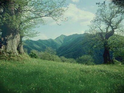 Valle del Vignale in primavera, provincia di Firenze, Toscana, Italia