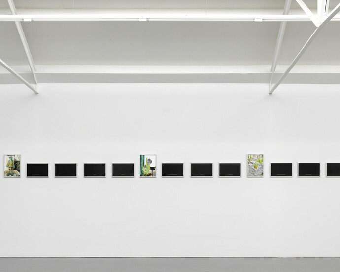 Loved an Image. Courtesy of the artist, Isabella Bortolozzi, Berlin and Galerie Fons Welters, Amsterdam.