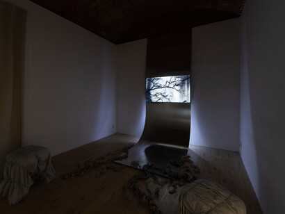 Various artists, Echoes of the Medusa, exhibition view. Courtesy of Galerie 35M2