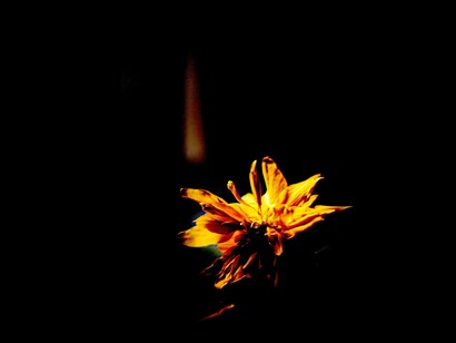 Uma singela homenagem no seu centenário