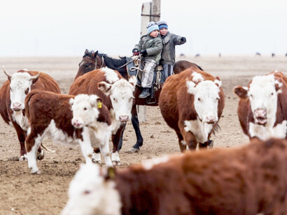 Il viaggio nei paesaggi kazaki offrirà anche spunti per una nuova prospettiva sulla storia dello sviluppo industriale italiano, attraverso una sorta di specchio capovolto