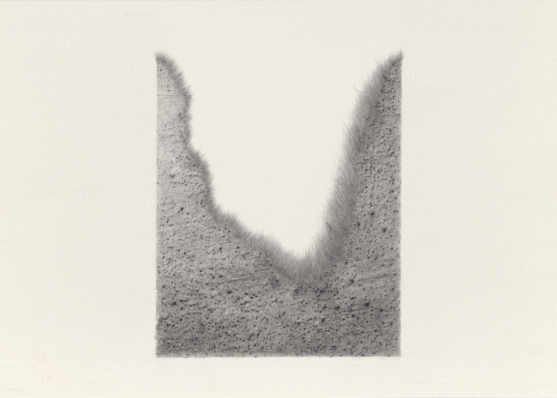 Jane Dixon, Ditch, 2011, 34.5 x 26.8 cm, graphit frottage and pencil on paper