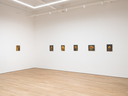 Phoebe Helander, Paintings from the orange room, exhibition view. Courtesy of P·P·O·W