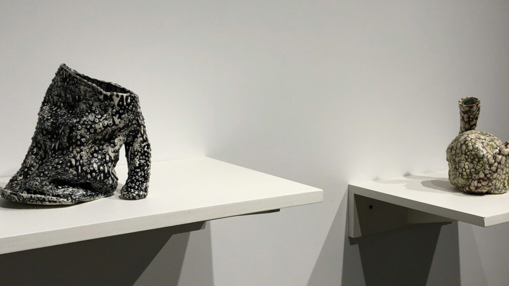 Elisa D'Arrigo. Courtesy of Elizabeth Harris Gallery