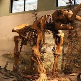 Our Changing Earth. Courtesy of New Brunswick Museum