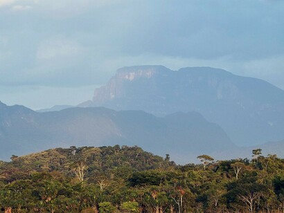 Marahuaka (el árbol de la vida de los Ye’kuana) al fondo; Pico Fhawi-ewihti a la derecha. Vista desde la Sabana de Culebra (Mawadi-anehidiña). Foto: Javier Mesa