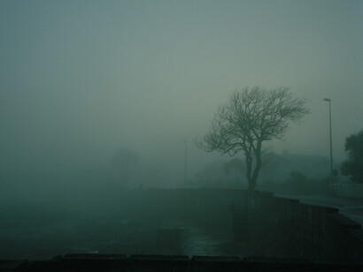 Gary Coyle RHA, Sandycove Fog