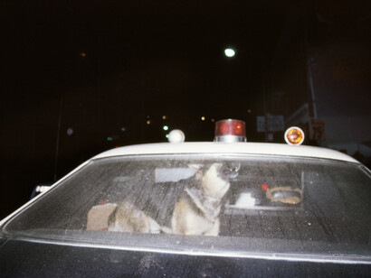 Jim Jocoy. Courtesy of Casemore Kirkeby 