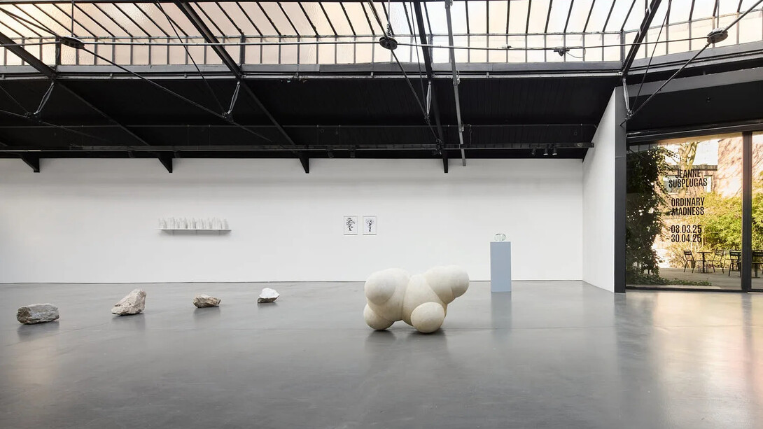 Jeanne Susplugas, Ordinary madness, vue d'exposition. Avec l'aimable autorisation de la Galerie La Patinoire Royale Bach