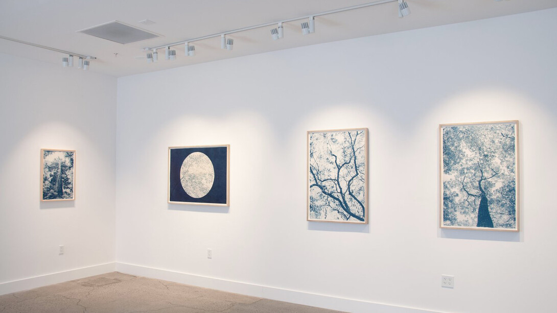 Dora Somosi, Understory, in blue, exhibition view. Courtesy of Sarah Shepard Gallery