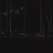 Pasi Autio, State of alert (video still, detail), 2025. Courtesy of Turku Art Museum