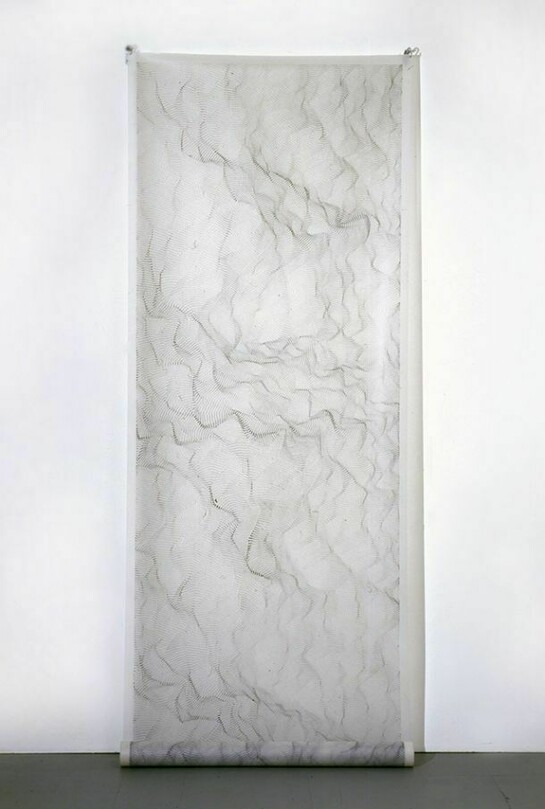 Dadamaino, Sein und Zeit, 1996, Mordente su poliestere, 200 x 122 cm, Courtesy A arte Invernizzi, Milano  